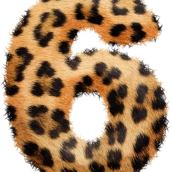 Αριθμολογία προσωπικός αριθμός 6