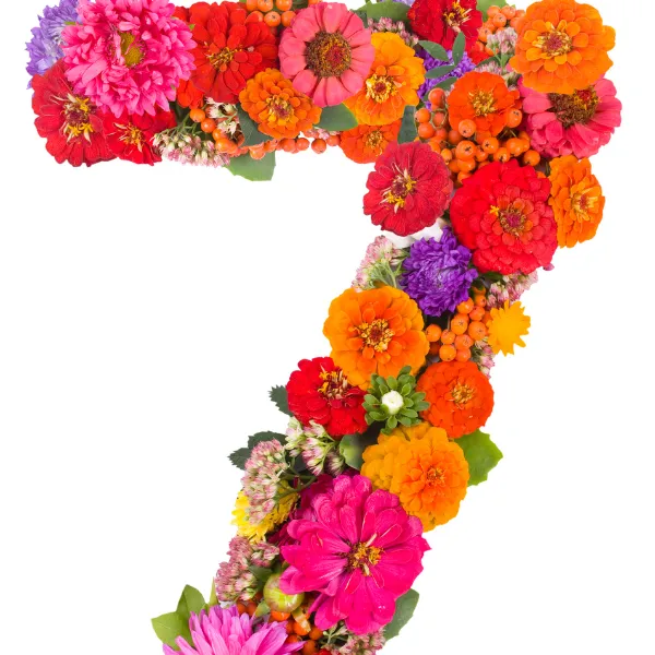 Αριθμολογία προσωπικός αριθμός 7