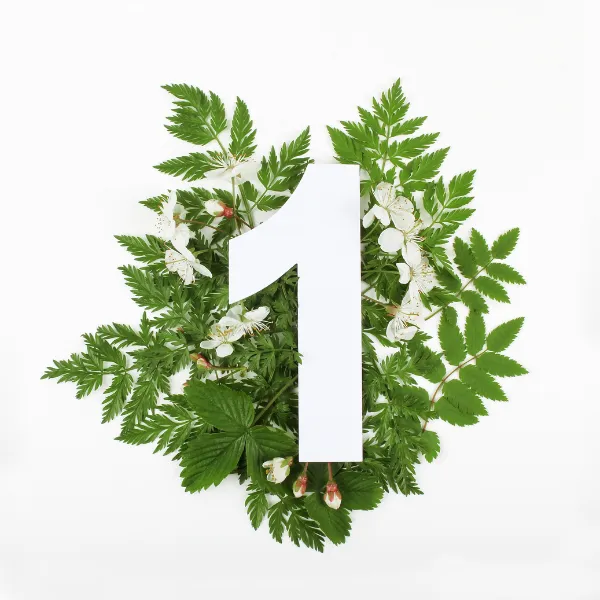 Αριθμολογία προσωπικός αριθμός 1